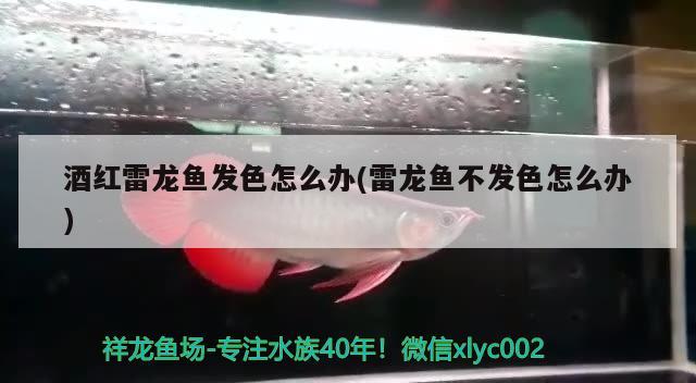 五星水族魚缸：五星水族魚缸售后維修電話 廣州水族批發(fā)市場 第3張