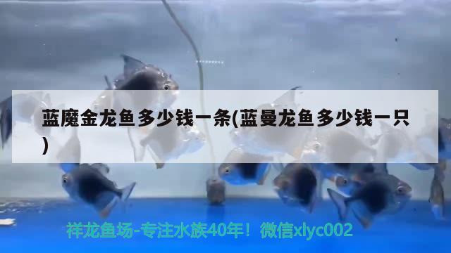 伊罕加熱棒一直工作：伊罕加熱棒工作指示燈 伊罕水族 第2張