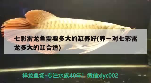 羅漢魚缸的ph值多少？如何調(diào)節(jié)羅漢魚缸的ph值？，羅漢魚缸ph值多少及羅漢魚缸ph值多少合適