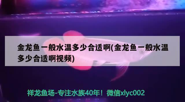 晉城魚缸送貨安裝公司電話地址在哪里（晉州魚缸） 二氧化碳設(shè)備