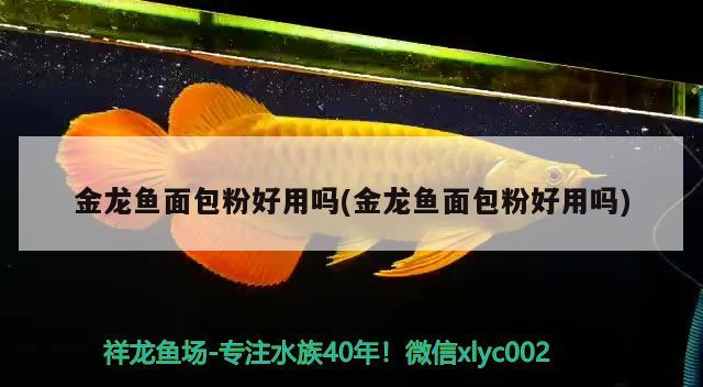 金龍魚面包粉好用嗎(金龍魚面包粉好用嗎) 巴西亞魚