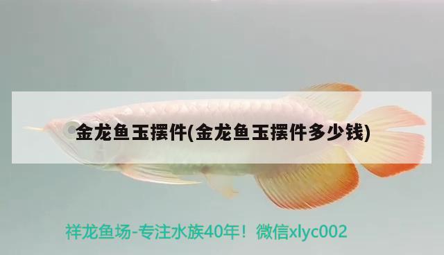 金龍魚玉擺件(金龍魚玉擺件多少錢) 過背金龍魚