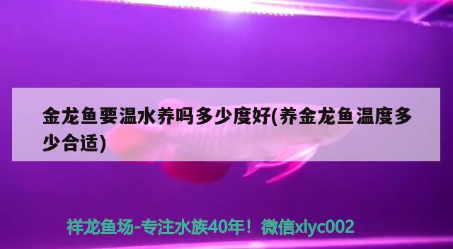 森森魚缸底濾下水管那堆積了些魚便怎么清理，森森底濾的魚缸為什么一個月水就變渾濁了 養(yǎng)魚的好處 第1張