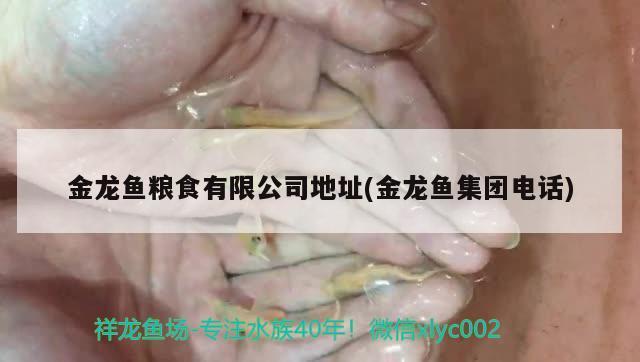 金龍魚糧食有限公司地址(金龍魚集團(tuán)電話) 金龍魚糧