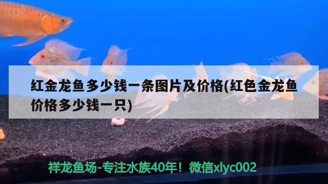 漂亮的海水缸