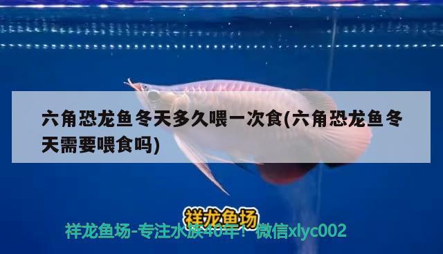 家庭魚缸品牌有哪些，誰知道廊坊地區(qū)哪里批發(fā)水族箱啊