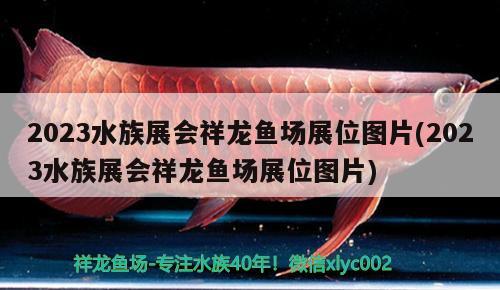 2023水族展會祥龍魚場展位圖片(2023水族展會祥龍魚場展位圖片) 水族展會