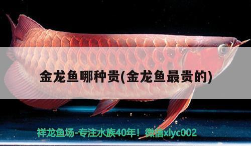 佳寶魚缸廠家售后服務(wù)電話號(hào)碼 佳寶魚缸的售后服務(wù)電話