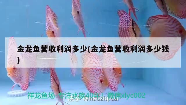 金龍魚營收利潤多少(金龍魚營收利潤多少錢)