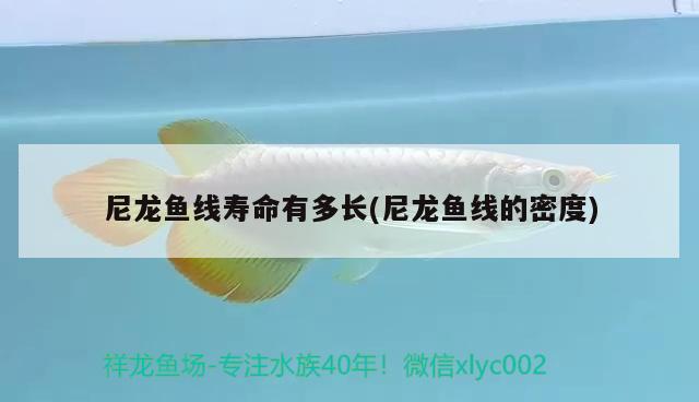 尼龍魚線壽命有多長(zhǎng)(尼龍魚線的密度)