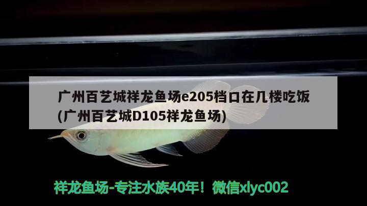 廣州百藝城祥龍魚場e205檔口在幾樓吃飯(廣州百藝城D105祥龍魚場) 祥龍魚場