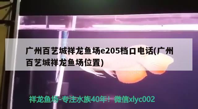 廣州百藝城祥龍魚場(chǎng)e205檔口電話(廣州百藝城祥龍魚場(chǎng)位置)