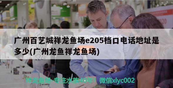 南雄市雄州街道旺林觀賞魚店 觀賞魚企業(yè)目錄 第2張