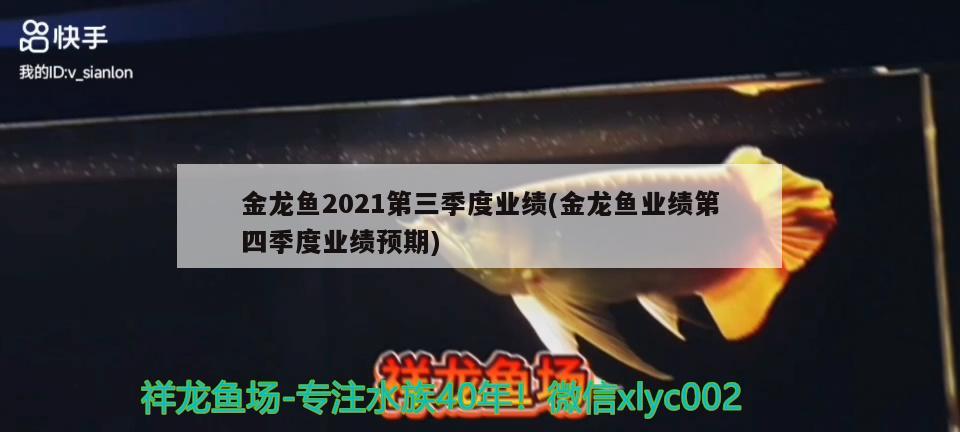 金龍魚(yú)2021第三季度業(yè)績(jī)(金龍魚(yú)業(yè)績(jī)第四季度業(yè)績(jī)預(yù)期)