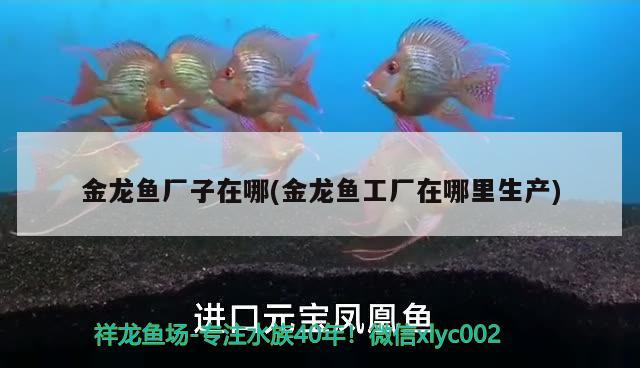 郴州魚缸批發(fā)市場地址在哪里郴州魚缸批發(fā)市場地址在哪里呀，郴州魚缸批發(fā)市場地址在哪里