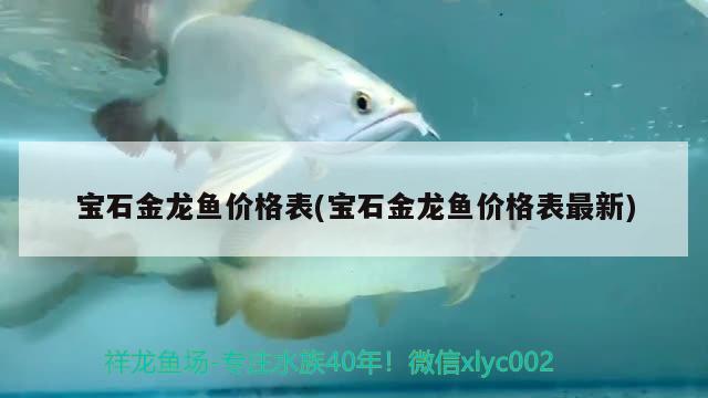 寶石金龍魚價格表(寶石金龍魚價格表最新)