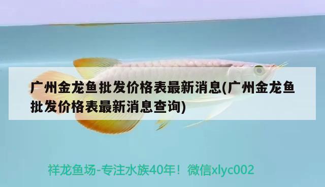 十間魚(yú)咬魚(yú)缸是什么原因（十間魚(yú)被魚(yú)咬爛了還能活嗎） 孵化器