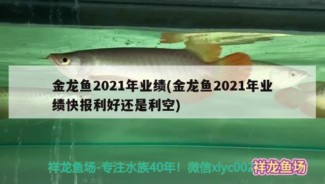 金龍魚2021年業(yè)績(金龍魚2021年業(yè)績快報利好還是利空)