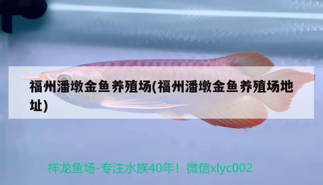 魚缸加熱棒的表面溫度是多少的？，魚缸加熱棒對魚缸加熱棒的表面溫度不一樣的溫度是多少