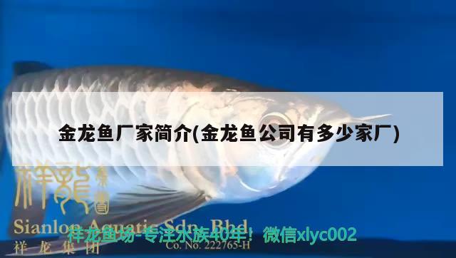 金龍魚(yú)廠家簡(jiǎn)介(金龍魚(yú)公司有多少家廠) 殺菌消毒設(shè)備