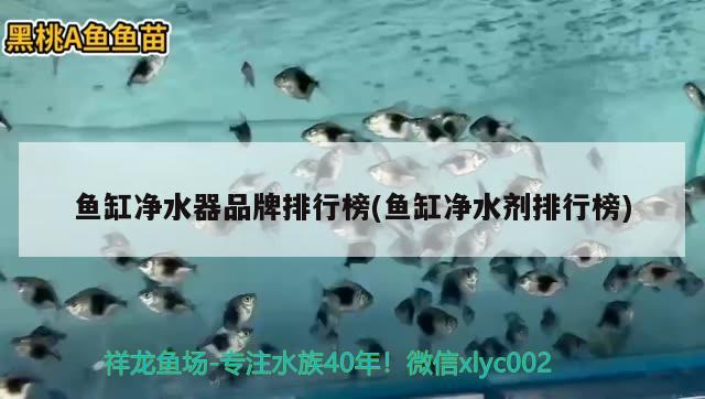 深圳市魚缸批發(fā)市場在哪里啊多少錢（60厘米的水族箱大概多少錢一個(gè)） 雪龍魚 第2張