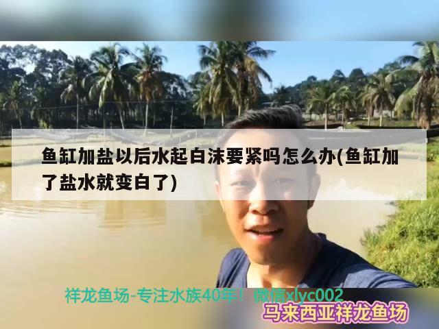 魚缸加鹽以后水起白沫要緊嗎怎么辦(魚缸加了鹽水就變白了) 龍魚批發(fā)