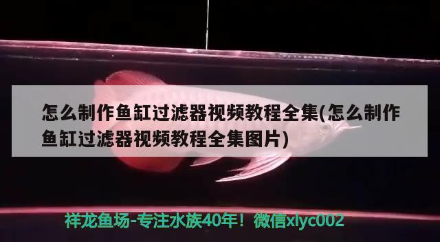 怎么制作魚缸過濾器視頻教程全集(怎么制作魚缸過濾器視頻教程全集圖片)