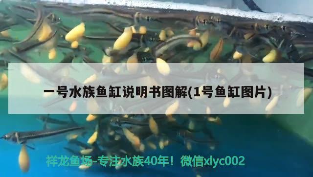 一號(hào)水族魚缸說(shuō)明書圖解(1號(hào)魚缸圖片) 黑白雙星