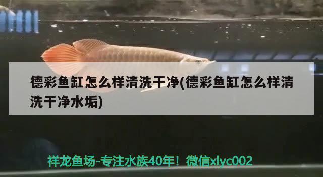 德彩魚缸怎么樣清洗干凈(德彩魚缸怎么樣清洗干凈水垢)