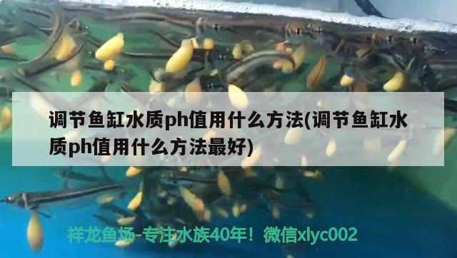 調(diào)節(jié)魚缸水質(zhì)ph值用什么方法(調(diào)節(jié)魚缸水質(zhì)ph值用什么方法最好)