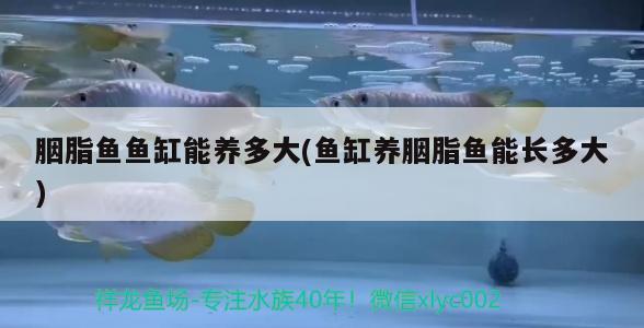 海東水族批發(fā)市場地址電話號碼是多少：海東水上樂園門票多少錢