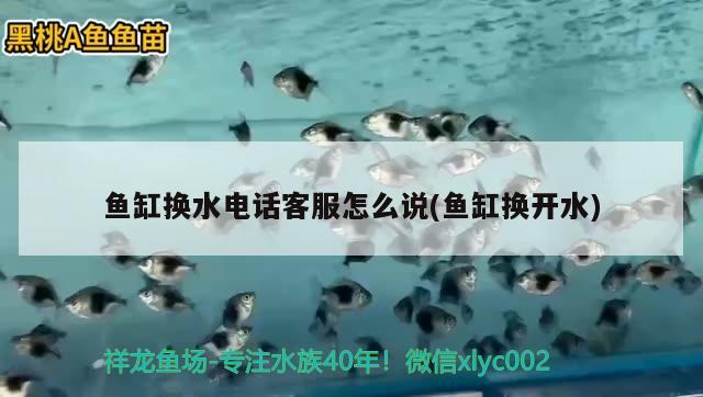 魚缸換水電話客服怎么說(魚缸換開水)