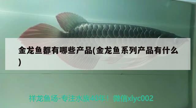 金龍魚都有哪些產(chǎn)品(金龍魚系列產(chǎn)品有什么) 月光鴨嘴魚