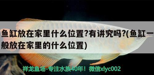 魚(yú)缸放在家里什么位置?有講究嗎?(魚(yú)缸一般放在家里的什么位置) 除藻劑