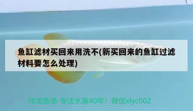 關(guān)于60厘米長(zhǎng)的魚缸多高合適的信息 過(guò)背金龍魚