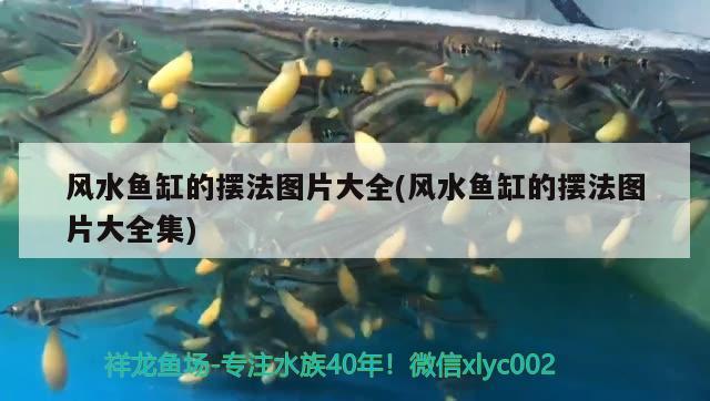 風水魚缸的擺法圖片大全(風水魚缸的擺法圖片大全集) 魚缸風水