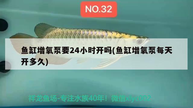 魚缸增氧泵要24小時開嗎(魚缸增氧泵每天開多久) 大嘴鯨魚