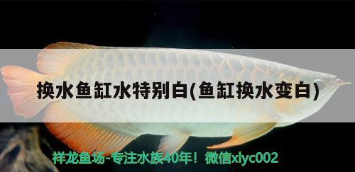 臨沂哪里有賣魚缸的實體店啊多少錢一斤（臨沂魚缸批發(fā)廠家直銷）