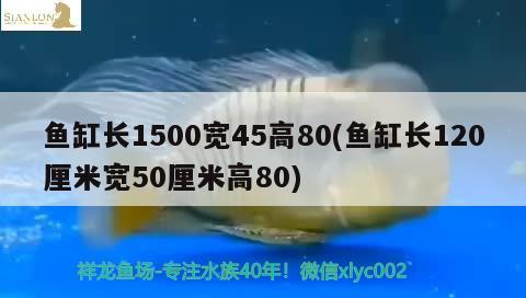 魚缸長1500寬45高80(魚缸長120厘米寬50厘米高80) 大正錦鯉魚