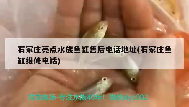 魚缸水泵多少錢一臺家用（魚缸水泵多少錢一臺家用的）