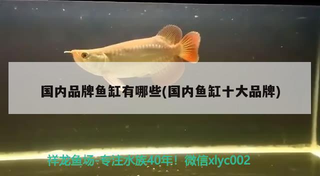 臺州市椒江田園漫步水族店 全國水族館企業(yè)名錄 第2張