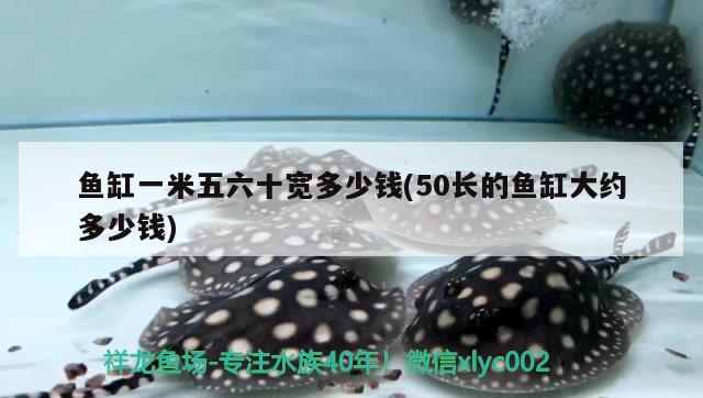 山東名義魚缸廠怎么樣?。ㄟM(jìn)口亞克力魚缸好不好） 斑馬狗頭魚 第1張