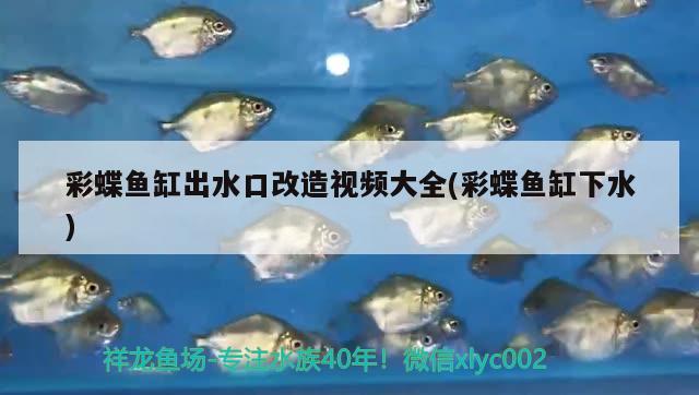 彩蝶魚缸出水口改造視頻大全(彩蝶魚缸下水) 水族用品