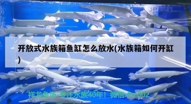 開放式水族箱魚缸怎么放水(水族箱如何開缸) 魚缸/水族箱 第2張