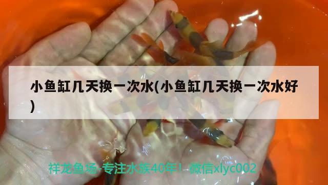 小魚缸幾天換一次水(小魚缸幾天換一次水好)