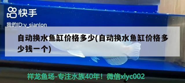 自動換水魚缸價格多少(自動換水魚缸價格多少錢一個) 古典過背金龍魚