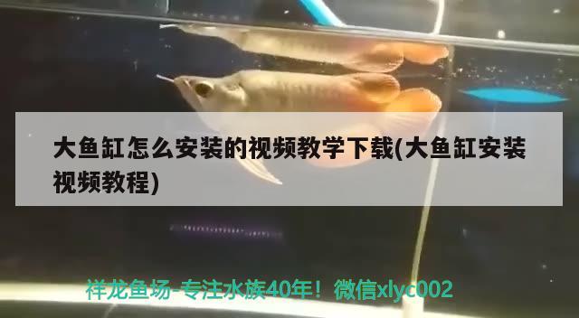 大魚缸怎么安裝的視頻教學(xué)下載(大魚缸安裝視頻教程)