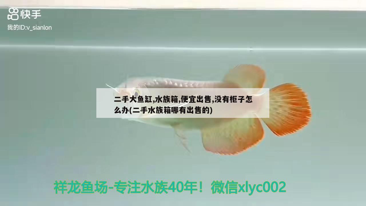 二手大魚缸,水族箱,便宜出售,沒有柜子怎么辦(二手水族箱哪有出售的)