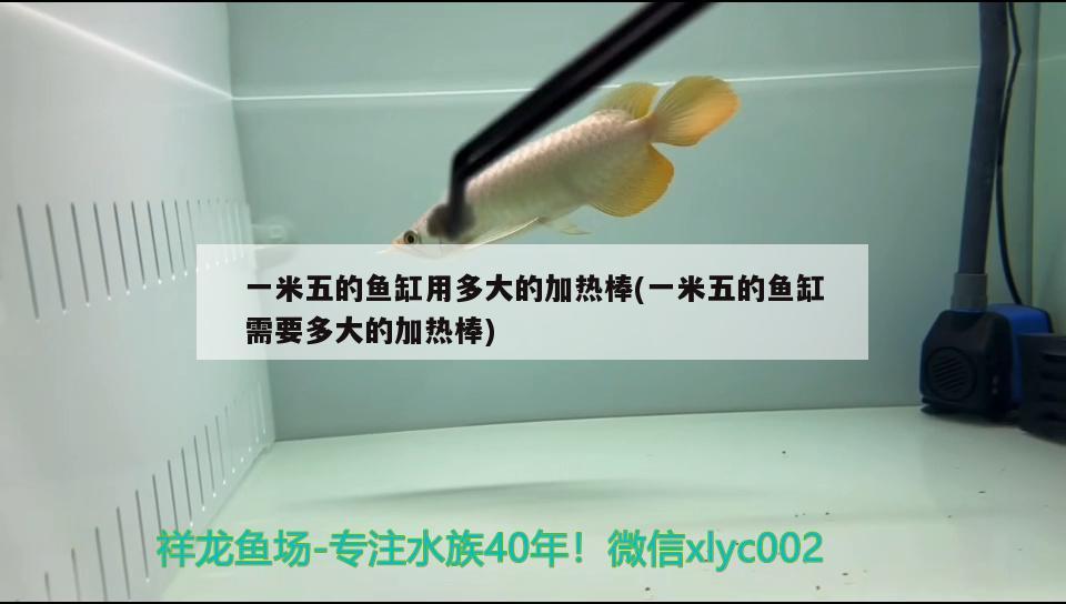 一米五的魚缸用多大的加熱棒(一米五的魚缸需要多大的加熱棒)