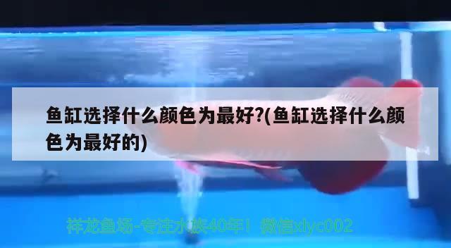 魚缸選擇什么顏色為最好?(魚缸選擇什么顏色為最好的) 祥龍水族護(hù)理水